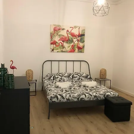Апартаменты Oasis *